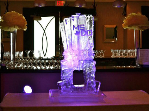 Steps for Making a Party Ice Luge