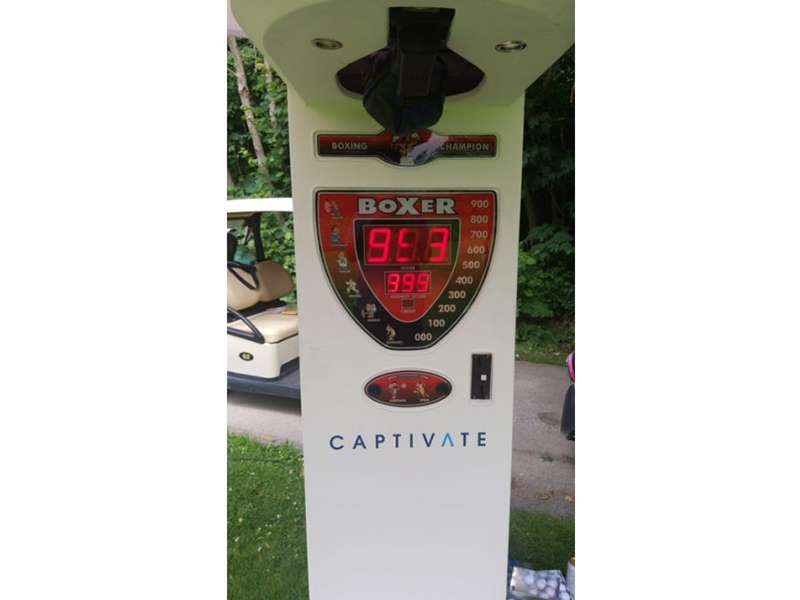 Boxer Arcade Game photo 9