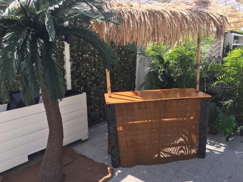 Tiki Bar and Artificial Palm Tree Rental together.