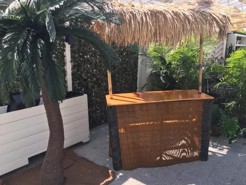 Tiki Bar and Artificial Palm Tree Rental together.