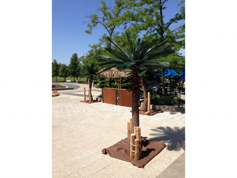 Cedar Pier Piling next to an Artificial Palm Tree.