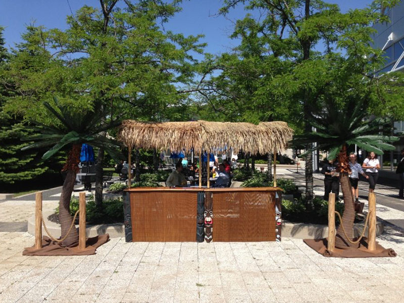 Beach Stanchion rentals displayed near Artificial Palm Tree.