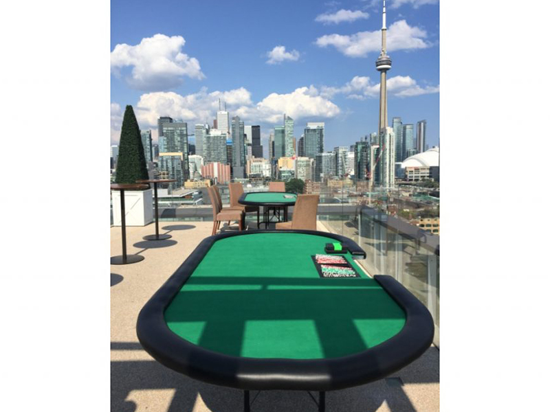 Poker Table photo 5