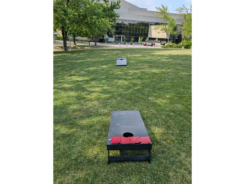 Cornhole Set