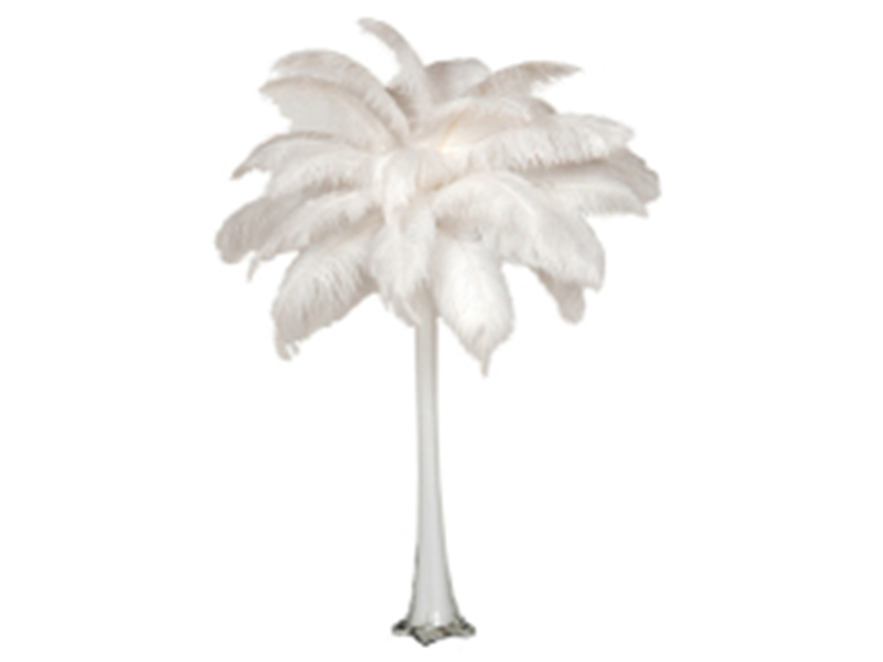 Vase With Feathers Center Piece