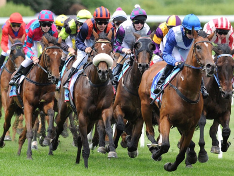 Horse Racing.
