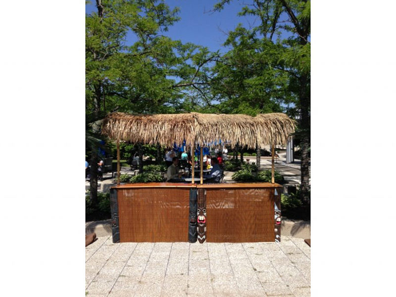 Two Tiki Bar Rentals ready for an outdoor event.