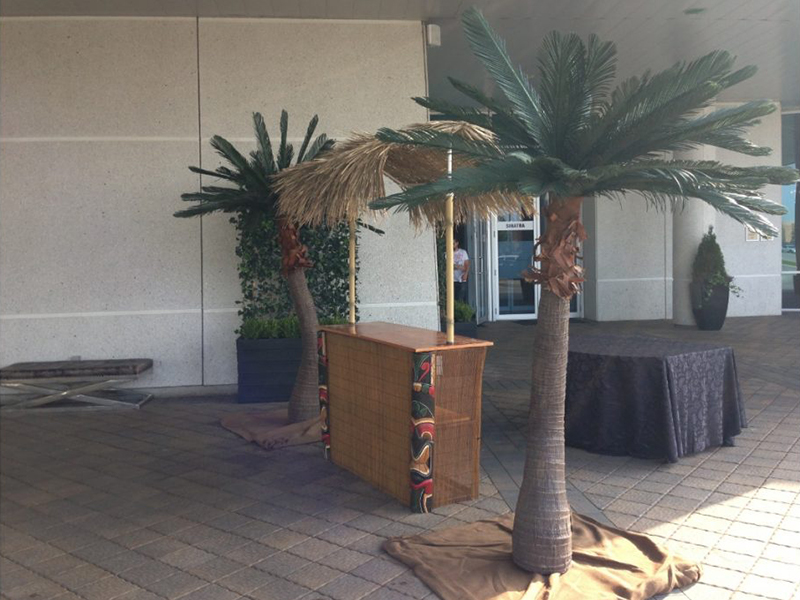 Tiki Bar photo 9