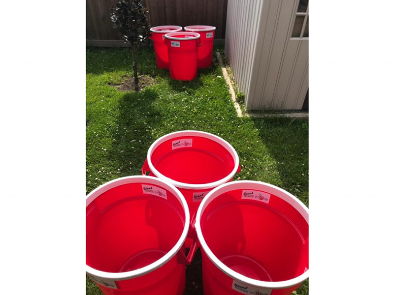 Giant Beer Pong photo 6