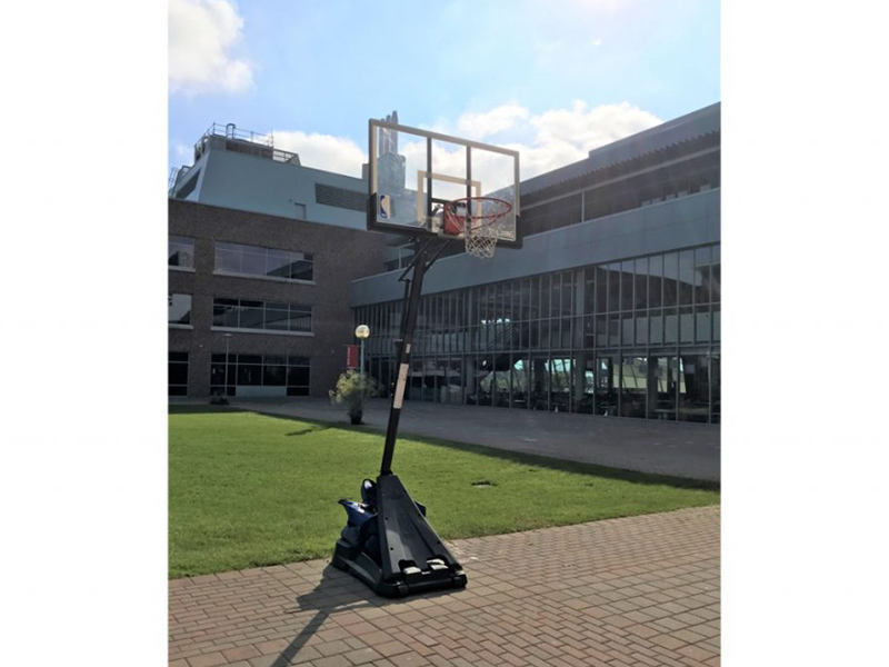 Basketball Net photo 5