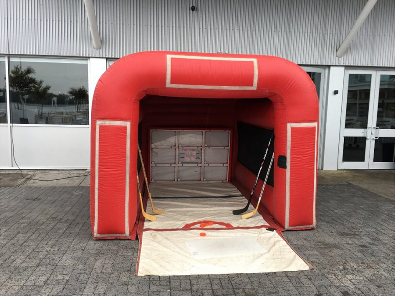 Electronic Hockey Net