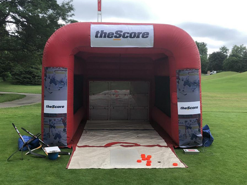 Electronic Hockey Net