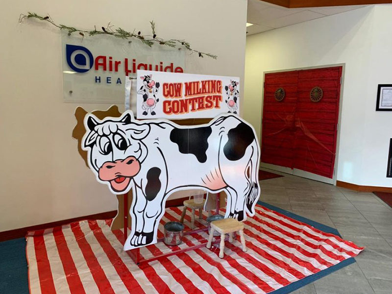 Cow Milking Contest set up for carnival event.