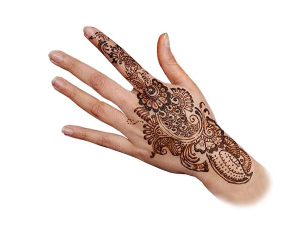 Henna Body Art rental in Toronto.