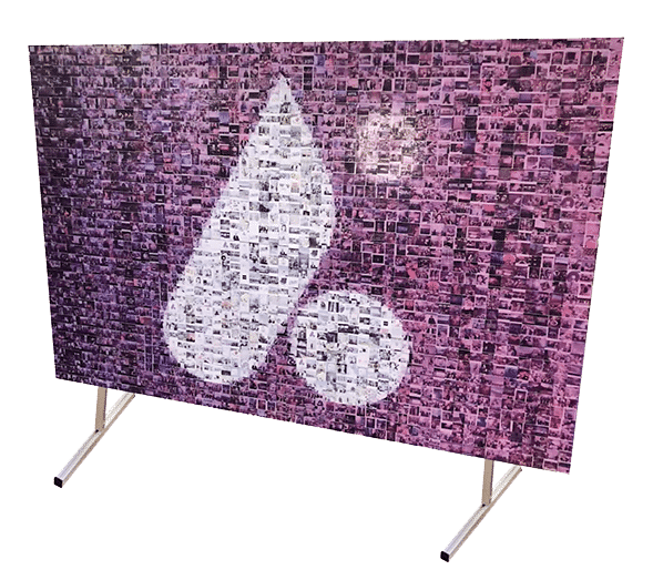 Finished Photo Mosaic Package in Toronto front image.