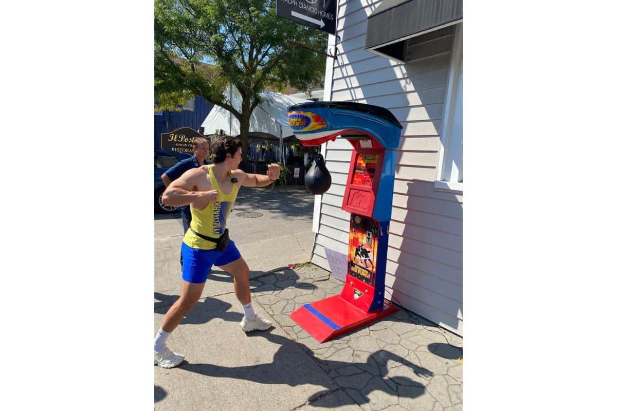 Boxer Arcade Game photo 5